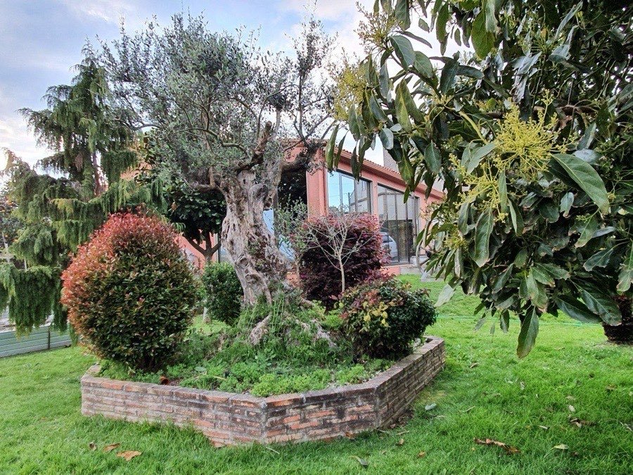 Jardín de la oficina de Asiaseguros en A Guarda